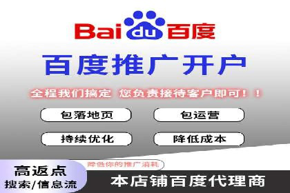 百度优化推广策略解析与应用案例