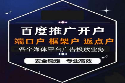 SEM运营公司案例解析：精准广告投放技巧